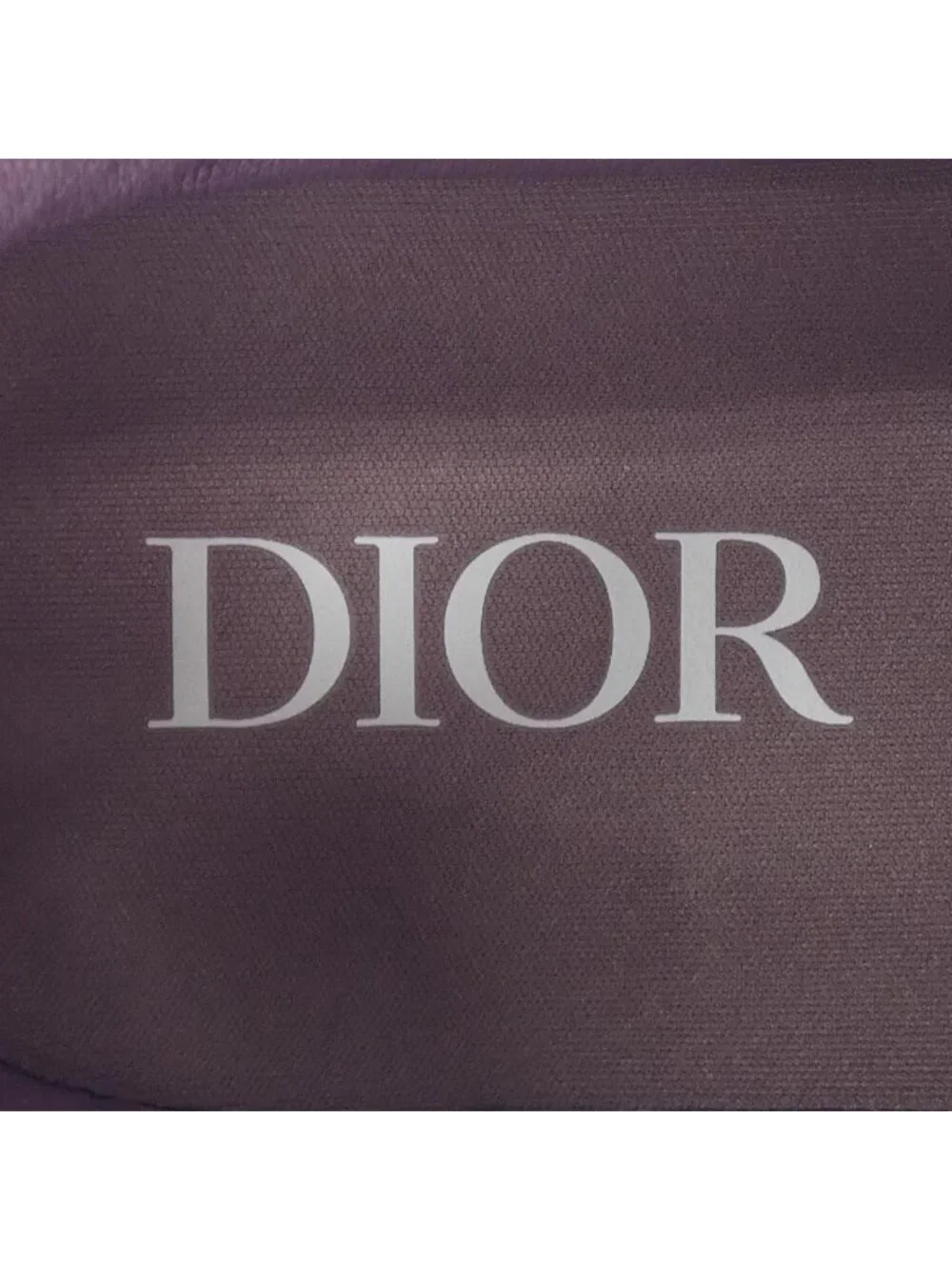 Dior Sneakers Gray
